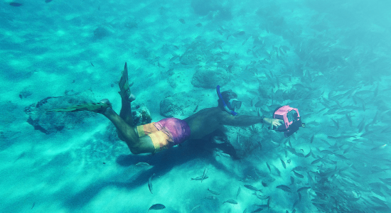 Aruba-scubadiving-divingpassport-diver-snorkel
