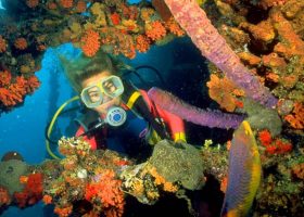 Aruba-scubadiving-divingpassport-diver