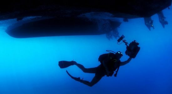 BARBADOS-scubadiving-divingpassport-diver