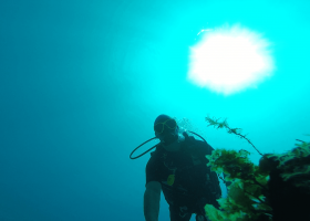 jamaica-scubadiving-divingpassport-diver