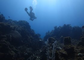 jamaica-scubadiving-divingpassport-diver