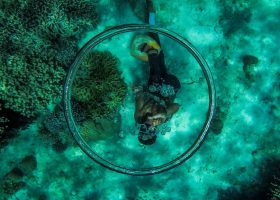 philippines-scubadiving-divingpassport-diver
