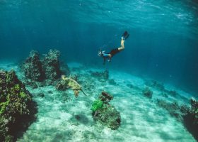 hawaii-scubadiving-divingpassport-kauai-apnea-diver